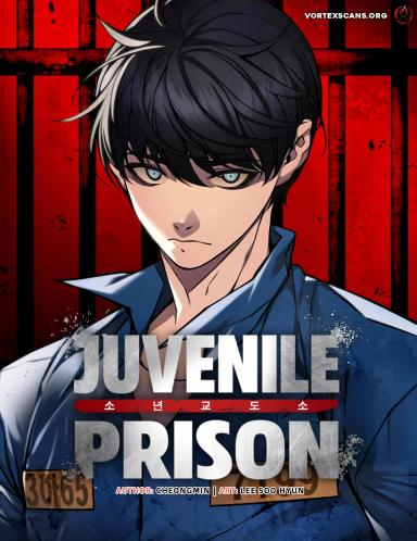 Cover of Juvenile Prison